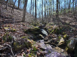 Glades Rd, Deer Lodge, TN 37726