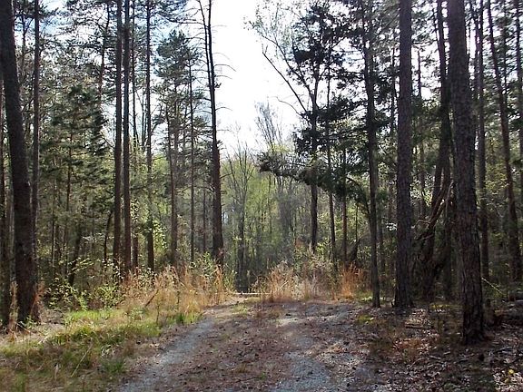 4th image of 3110 N Nc Highway 119
