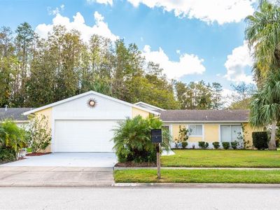 10648 Larissa St, Orlando, FL, 32821
