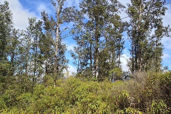 1st image of 16-2145 Road 9 Lot 5462