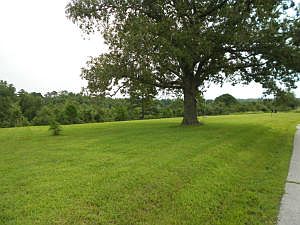 4th image of Pine Meadows Dr