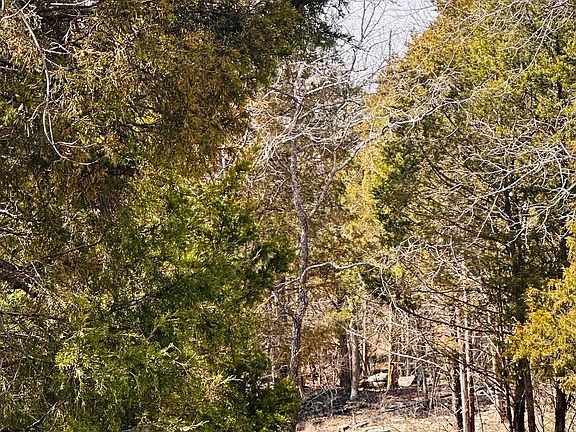 3rd image of 350 Cave Creek Rd