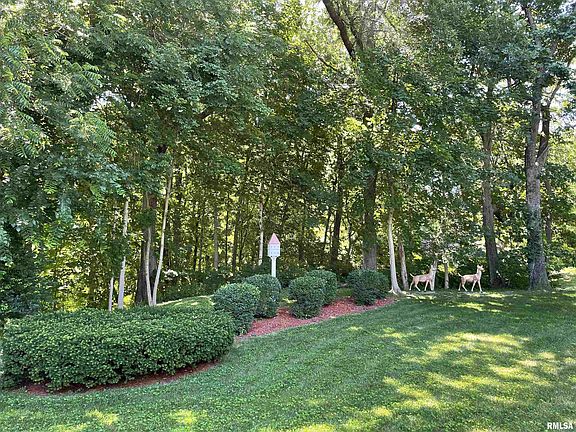 3rd image of 5126 Homan Falls Dr