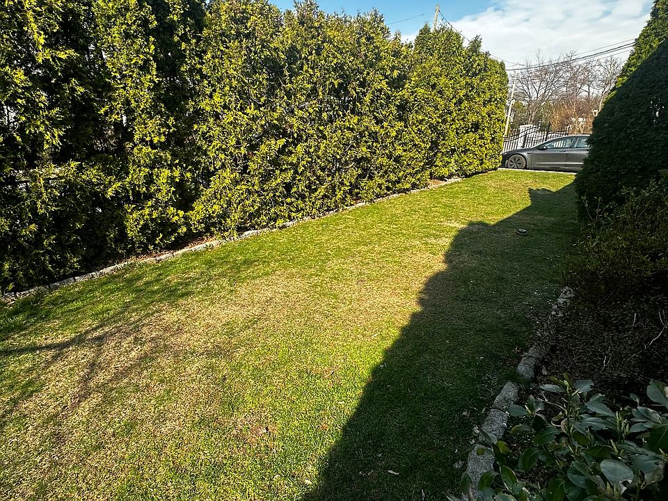 Shared yard
