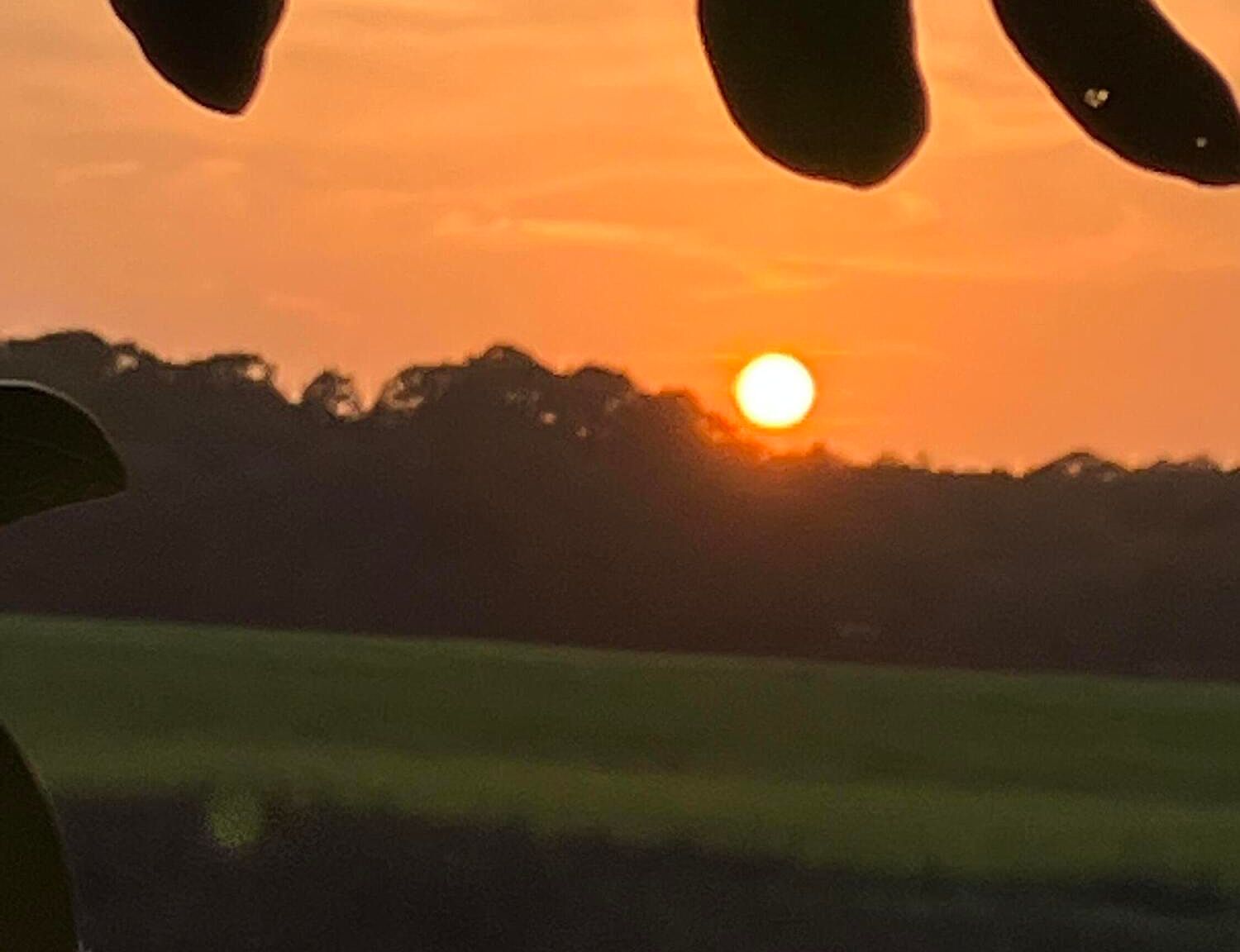 3504 Pumpkin Hill Rd, Johns Island, SC 29455 Zillow