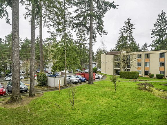 Parking view