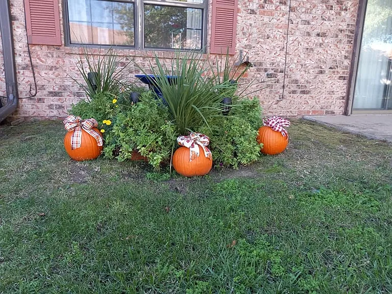 Maple Gardens — Photo 21