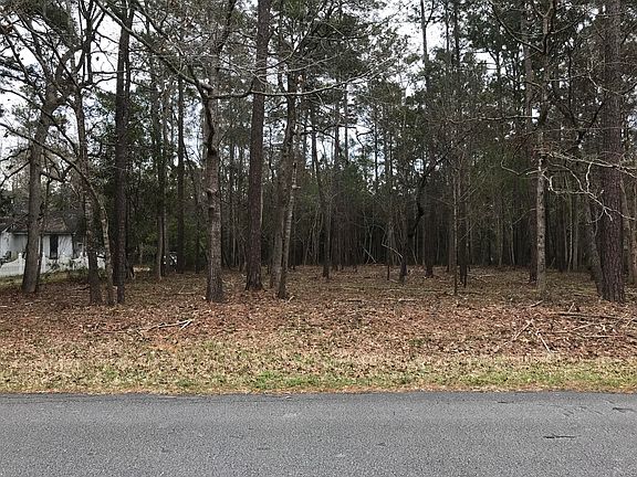2nd image of .46ac Mintz Street