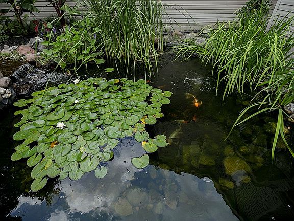 5th image of 3311 Summer Glen Dr