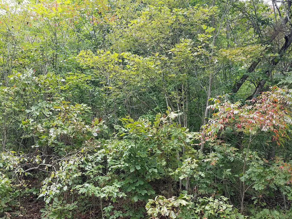 2nd image of Lakecrest Dr