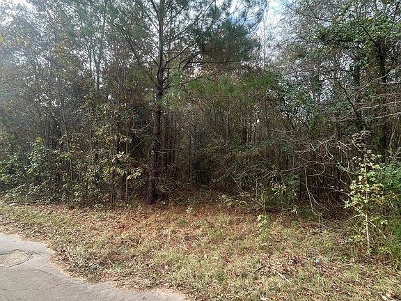 3rd image of County Road 3665
