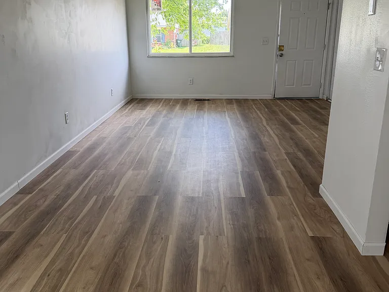 230 Orth Dr — Photo 4