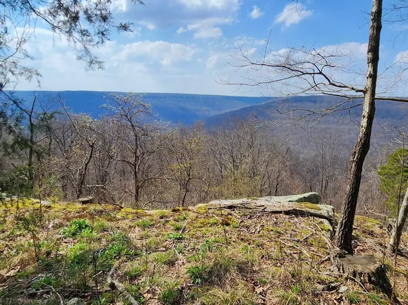 0 Roth Point Rd Lot 5, Altamont, TN 37301