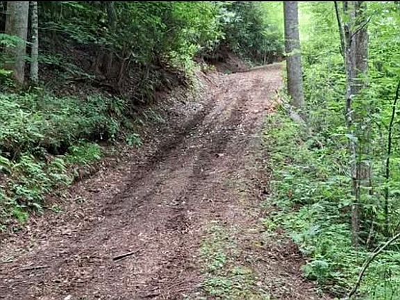 3rd image of 0 Sometimes Creek Rd