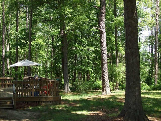 Large Deck and Yard