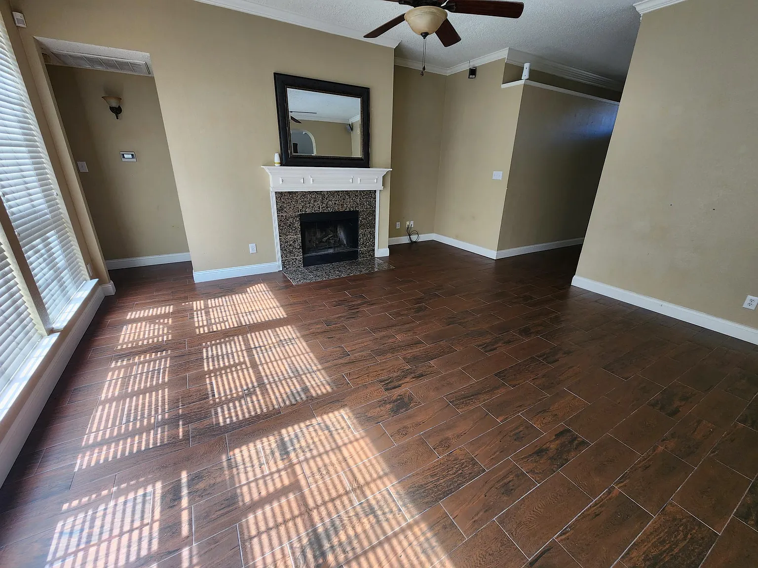 8024 Paloverde Dr — Photo 3