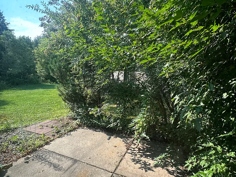 1228 Balsam Ct — Photo 8