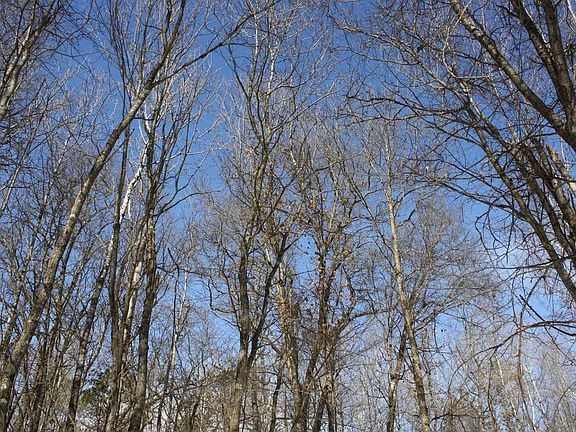 5th image of On West Rapids Road