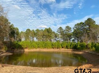 County Road 4510, Pittsburg, TX 75686