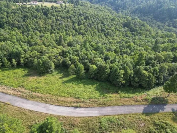 20 River Ridge Ln, Mount Nebo, WV 26679