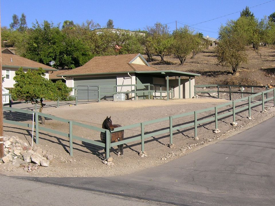 Horse Pasture