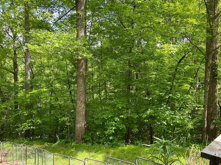 13 Wood Robin Ln — Photo 16