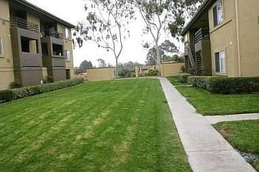 2nd image of 7405 Charmant Dr #2305