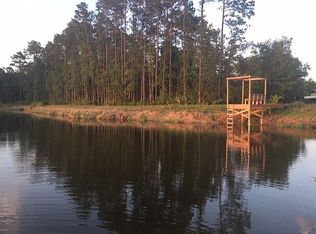 1002 Browns Rd, Middleburg, FL 32068