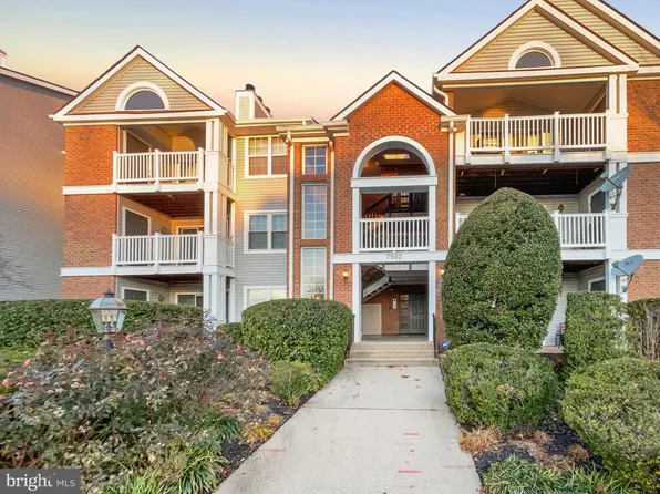7502 Ashby Ln Unit L, Alexandria, VA 22315
