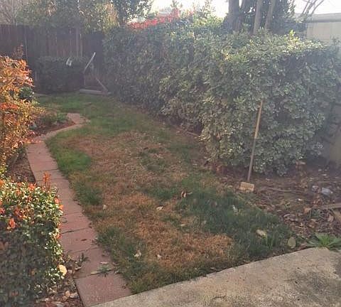 2nd image of 7554 N Trellis Cir