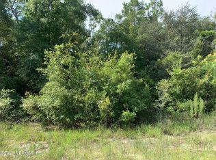 119 LYNNWOOD Avenue, Interlachen, FL 32148