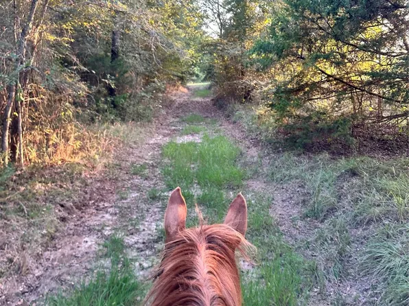 0 County Road 3226, Lone Oak, TX 75453