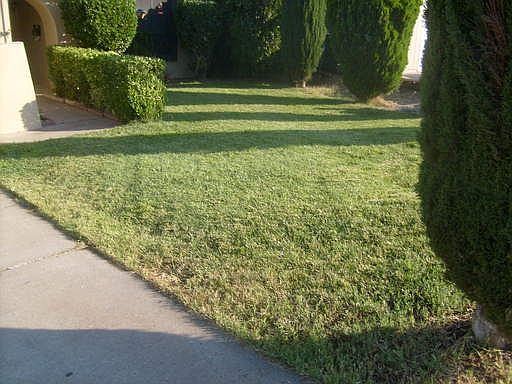 5th image of 5419 Sawtooth Ct