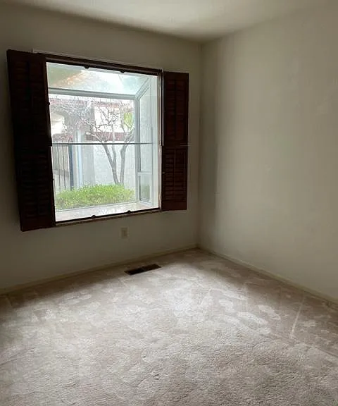 335 Live Oak Dr — Photo 10