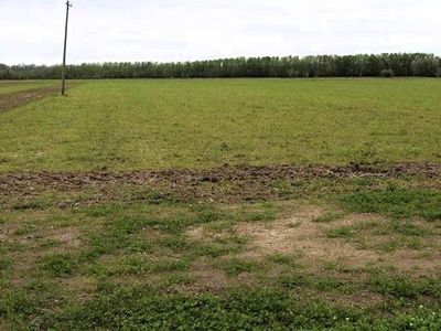 Bayou Black Dr, Houma, LA, 70360