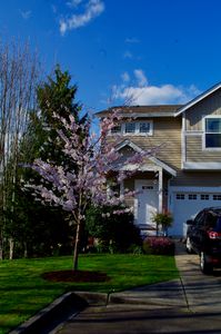2887 Huntington St, Port Orchard, WA, 98366