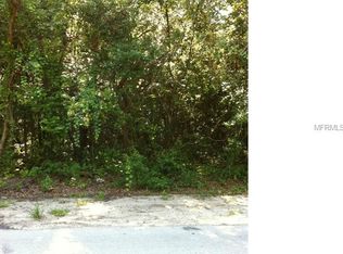 6155 Terrell Rd, Mount Dora, FL 32757