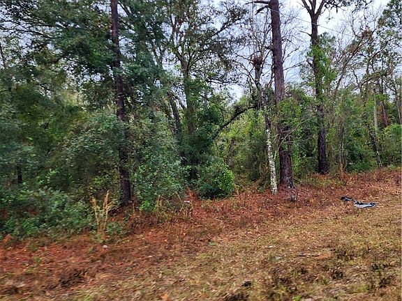 4th image of 7360 W Dunnellon Rd