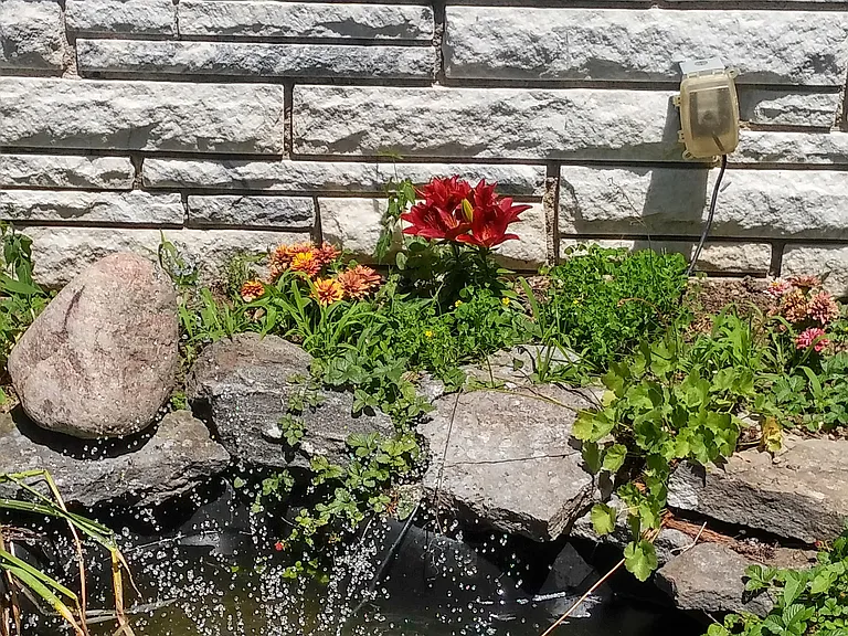 The property features a serene outdoor environment with landscaped flowers, colorful fish, frogs, and a natural pond habitat.