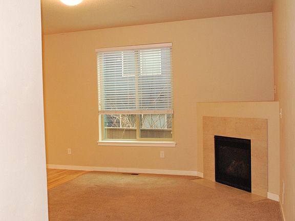 Fire place in the living room