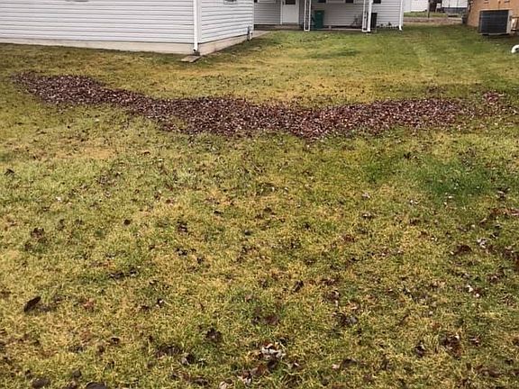 3rd image of 1134 Huber Ave