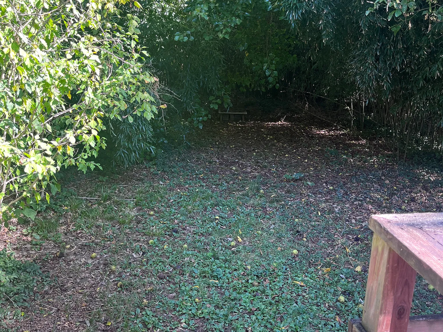 4416 Innes Ave — Photo 3