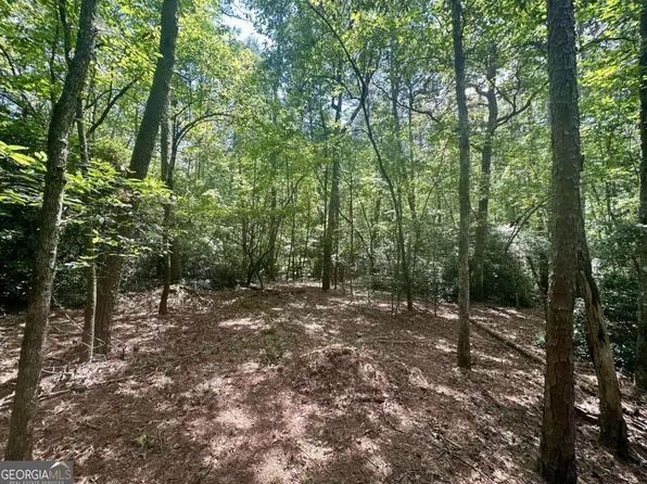 400 Etula Dr, Dahlonega, GA 30533