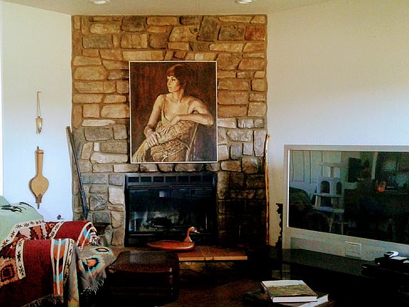 Wood Burning & Gas Fireplace