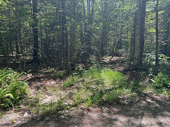 5th image of 0 Old Stage Rd
