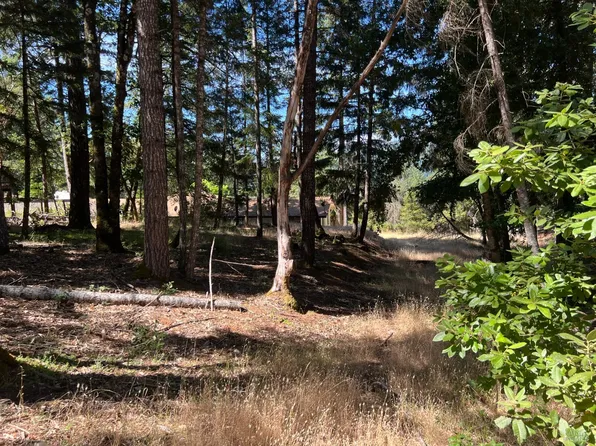 1495 Daphne Drive, Willits, CA 95490