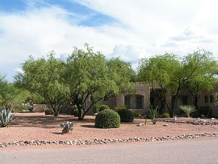 4th image of 1313 W Saddlehorn Dr