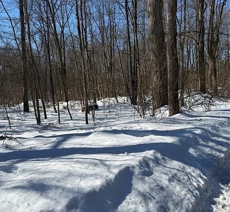 4th image of 15 Saw Mill Rd