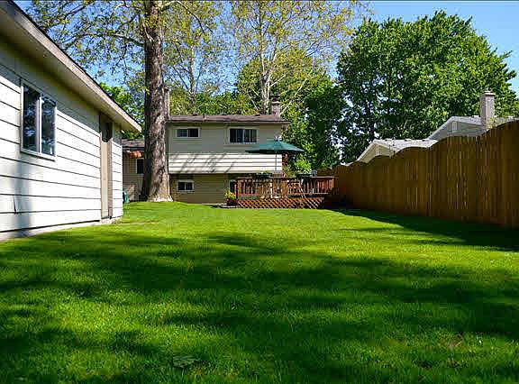 4th image of 39815 Cather St