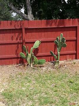 4th image of 3286 Ferndale Dr